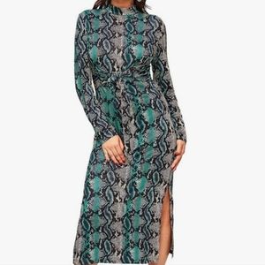 Snakeskin Waist Cinching Dress